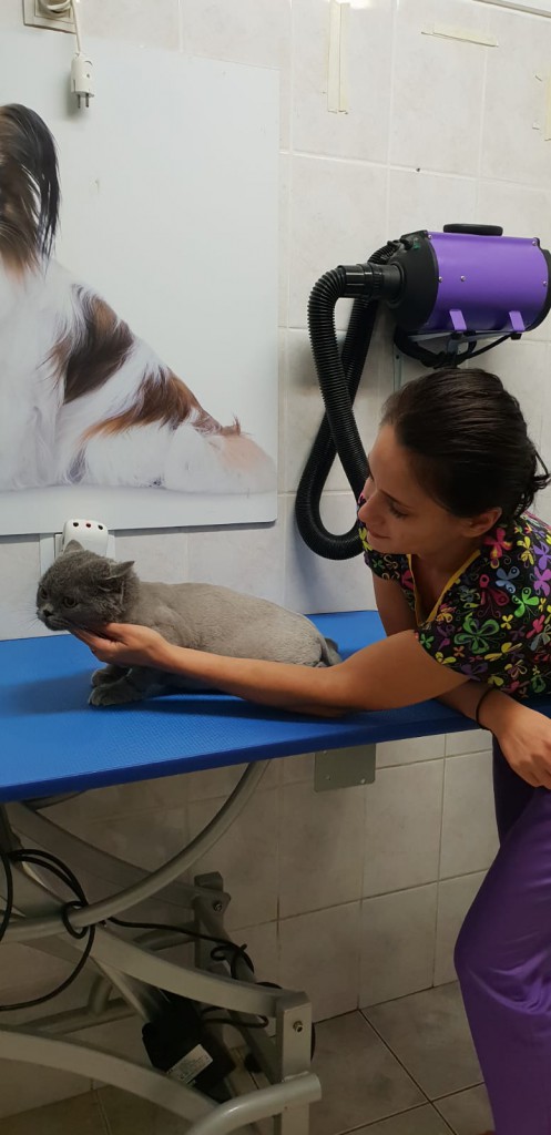 Cosmetica Alexandra1